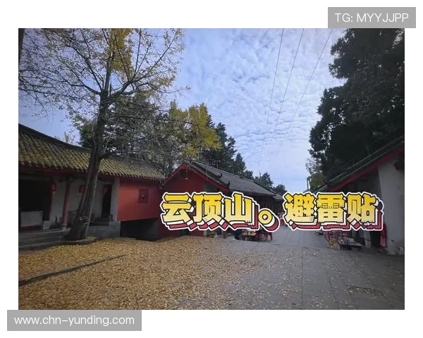 云顶国际新手入门必备技巧与常见错误避雷指南