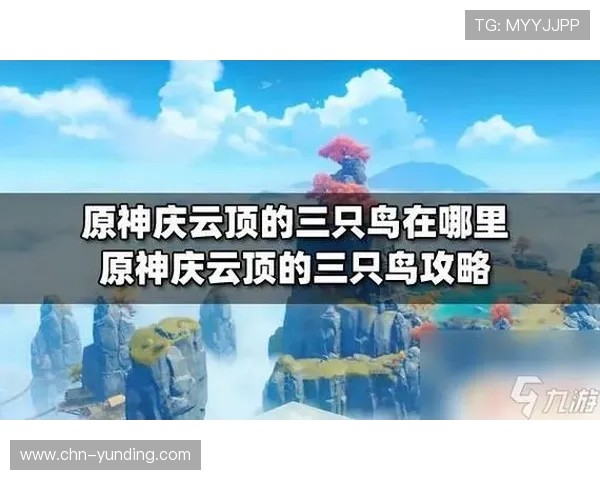 云顶攻略助手使用指南让你快速掌握核心操作技巧