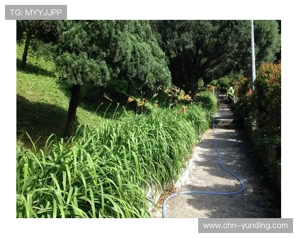 吉隆坡云顶集团推动的绿色可持续发展战略及其对环境的积极影响