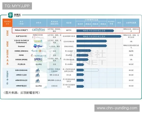 云顶新耀官网最新版本全面介绍与游戏下载指南