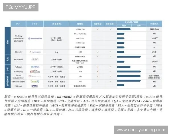 云顶新耀官网信誉查询指南，轻松了解平台的信誉等级与安全保障措施