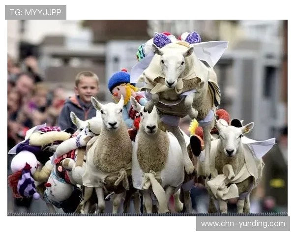 云顶赌场菲律宾最新赛事信息，精彩纷呈的比赛让你乐趣不断