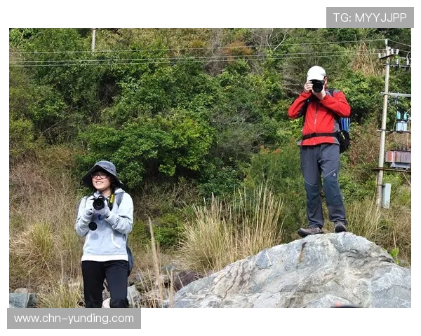 访问云顶集团首页官网：掌握最全的云顶集团最新动态和优惠活动